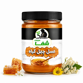 عسل چهل گیاه طبیعی و خالص - معجون طبیعی تقویت عمومی بدن - مناسب برای صبحانه روزانه - خرید مستقیم از عطاری وزن 500 گرم